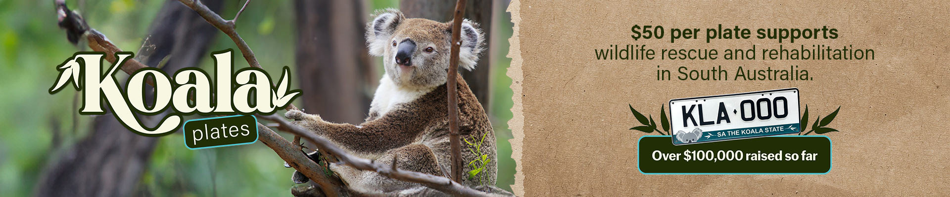 Koala plates to support wildlife rescue and rehabilitation