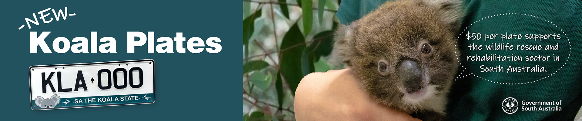 New Koala Plates: $50 per plate supports the wildlife rescue and rehabilitation sector in South Australia.